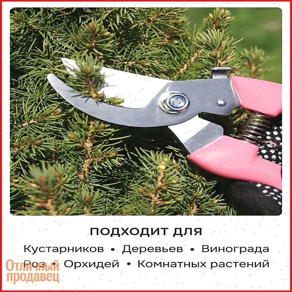Stainless Steel Fruit Picking Shears, Garden Branch Clippers, Landscaping Pruning Shears