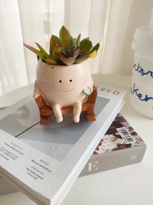 Cute Cartoon Succulent Planter Pot with Rocking Chair, Resin Flower Pot for Home Office Decor