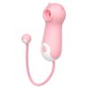 Mini Vibrator for Women Clitoral Sucker Stimulator Nipple Toys for Pleasure with 10 Modes Female Masturbator Adult Sex Toys Couples