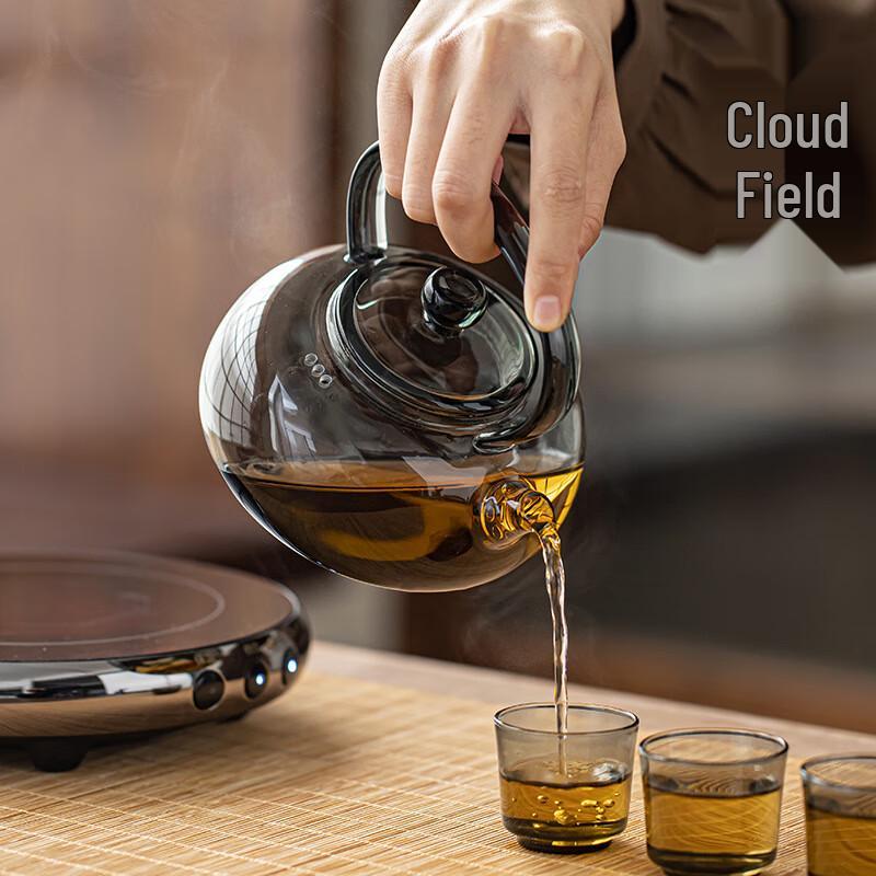 Borosilicate Glass Tea Maker with Handle