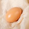 DIY Wooden Duck Eggs for Kids' Easter Decoration & Educational Crafting