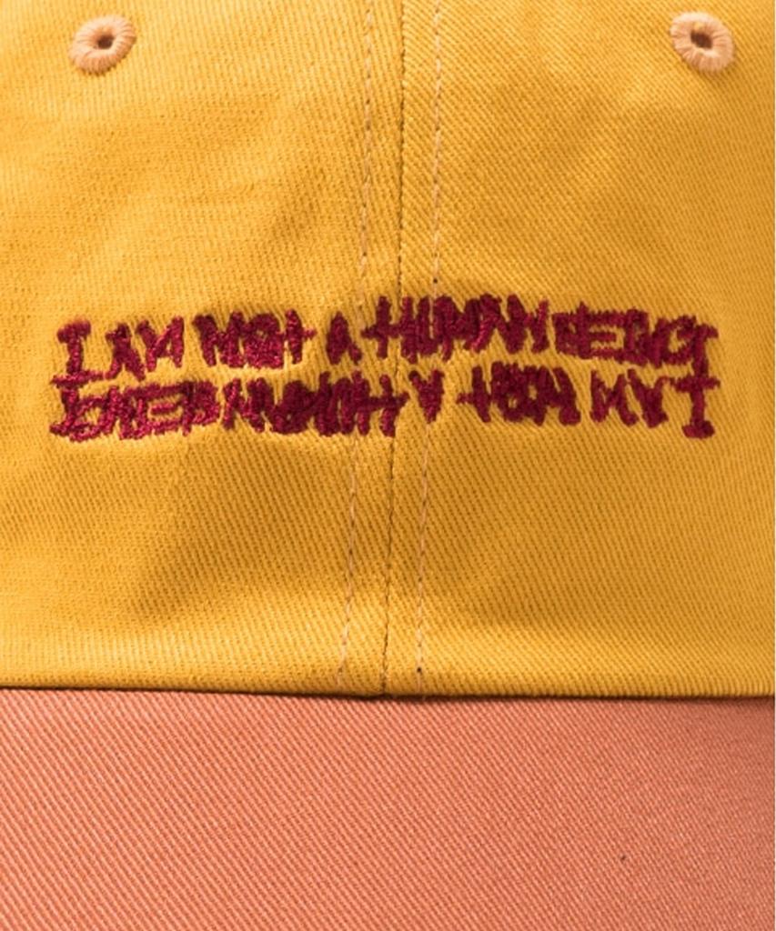 Aimnaseohyumeonbiing Basic Logo Multicolor Cap - Mustard&Brown