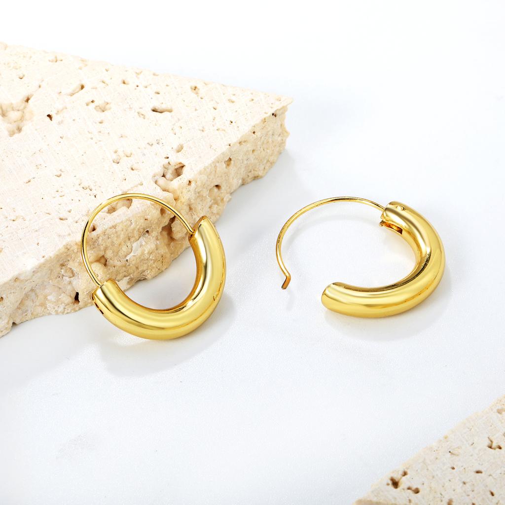 Simple Luxury Round Hoop Pendant Earrings, Stainless Steel with 18K Gold Plating, INS Style Everyday Wear Jewelry for Women