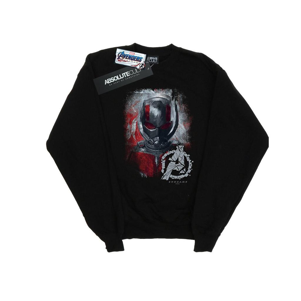 Marvel Mens Avengers Endgame Ant-Man Brushed Sweatshirt