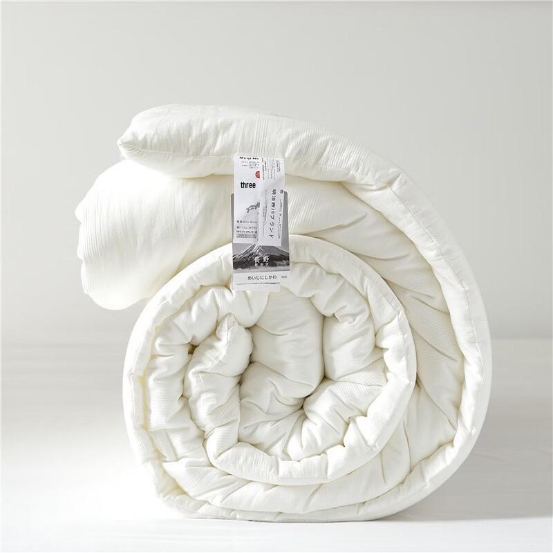 

Brangdy All-Season Lyocell & Polyester Fiber Duvet Insert
