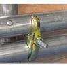 Vessel SA202170 Socket Semi-Long, Opposite Side 0.8 x 2.8 inches (21 x 70 mm), Hexagonal