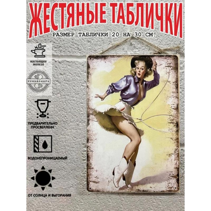 Pin-Up Girl Metal Sign, Retro Wall Art Decor