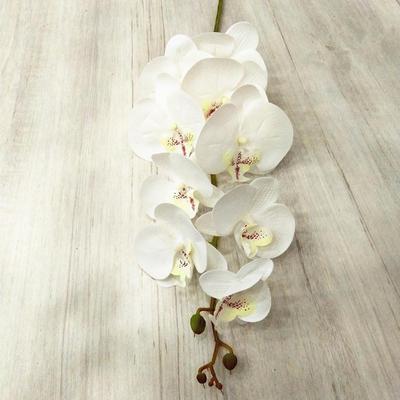 5 Pcs Real Touch Artificial Phalaenopsis Orchid Latex Butterfly Orchid Flowers 9 Heads for Home Floral Decoration