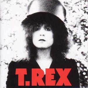 CD T-REX - Slider  NINETY12 Code 90 2006 UK Rock Used