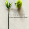 Artificial Dandelion Flower, European-Style Small Onion Ball, Home Plant Decoration, Floral Arrangement, Gardening Accessory.