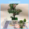 Simulated Peach Blossom Branch Plant Ornament With Plastic Craft For Photography And Home