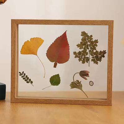 Doppelseitiger Einlege-Fotorahmen Acryl-Fotorahmen Kreativer Transparenter Blattspezimen-Ausstellungs-Fotorahmen Heimdekoration