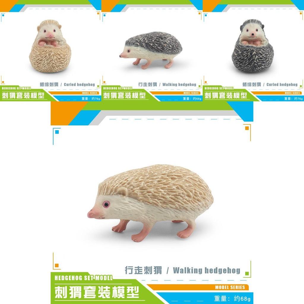 Detaillierte Waldtier-Igel-Modelle aus strapazierfähigem PVC, perfekt für Ausstellung und Spiel