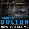 Now You See Me by Sharon Bolton Paperback Book 9780552159814