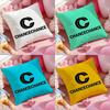 Diseño de Marca C-Chancechance Funda para Cojín Antiácaros Funda de Almohada Cremallera Invisible Felpa Corta Sedosa Funda para Cojín de Sofá