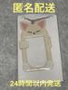 [USED] Straykids Foxy Ien Photo Card Keychain