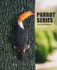 Toucan Resin Hanging Ornament - Decorative Animal Accent for Home, Garden, Wall, or Balcony
