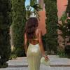 Explosive Sexy Suspender Backless Slim Sequin Dress Long Dress