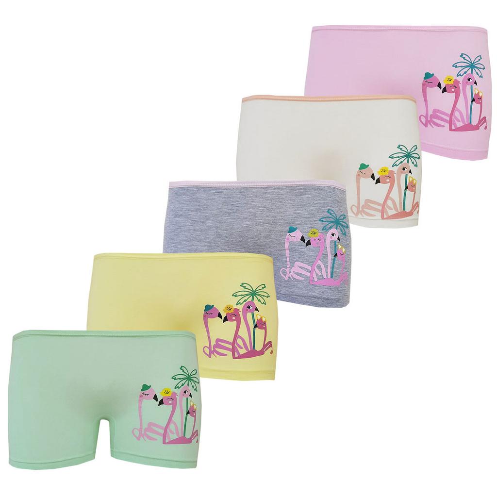 5li Kız Çocuk Boxer Renkli Baskılı Pamuklu Neşeli