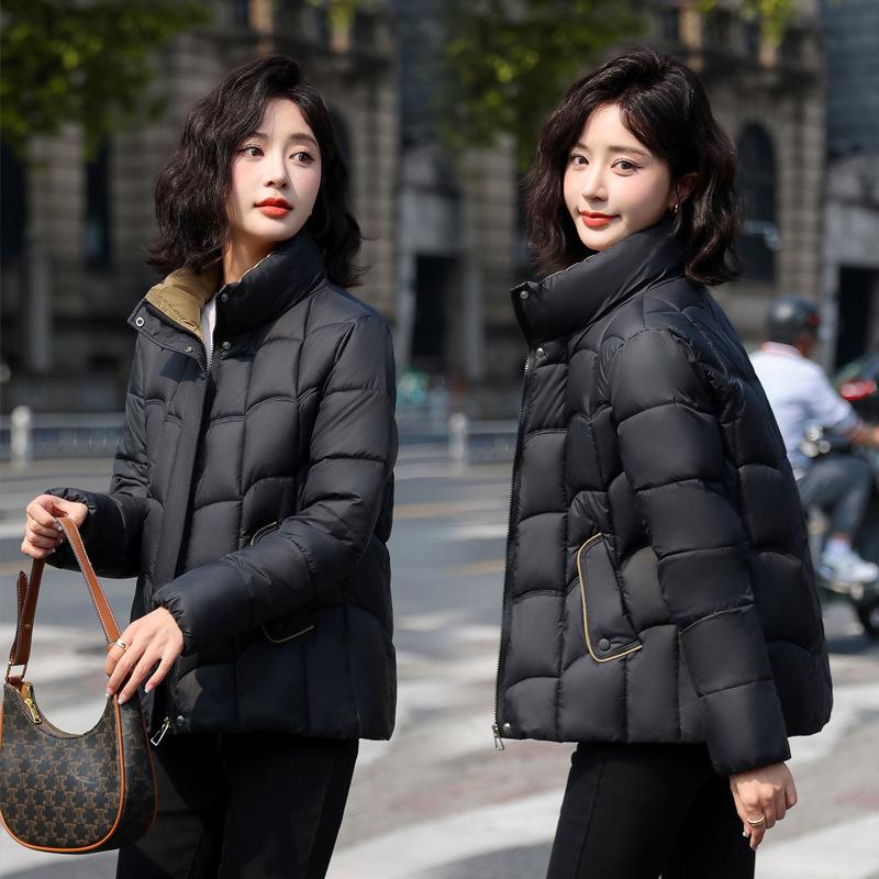 2025 Winter New Korean Version of Fashion Stand-up Collar Small Cotton Jacket Slim Slimming Down Cotton Jacket Female Student Padded Jacket