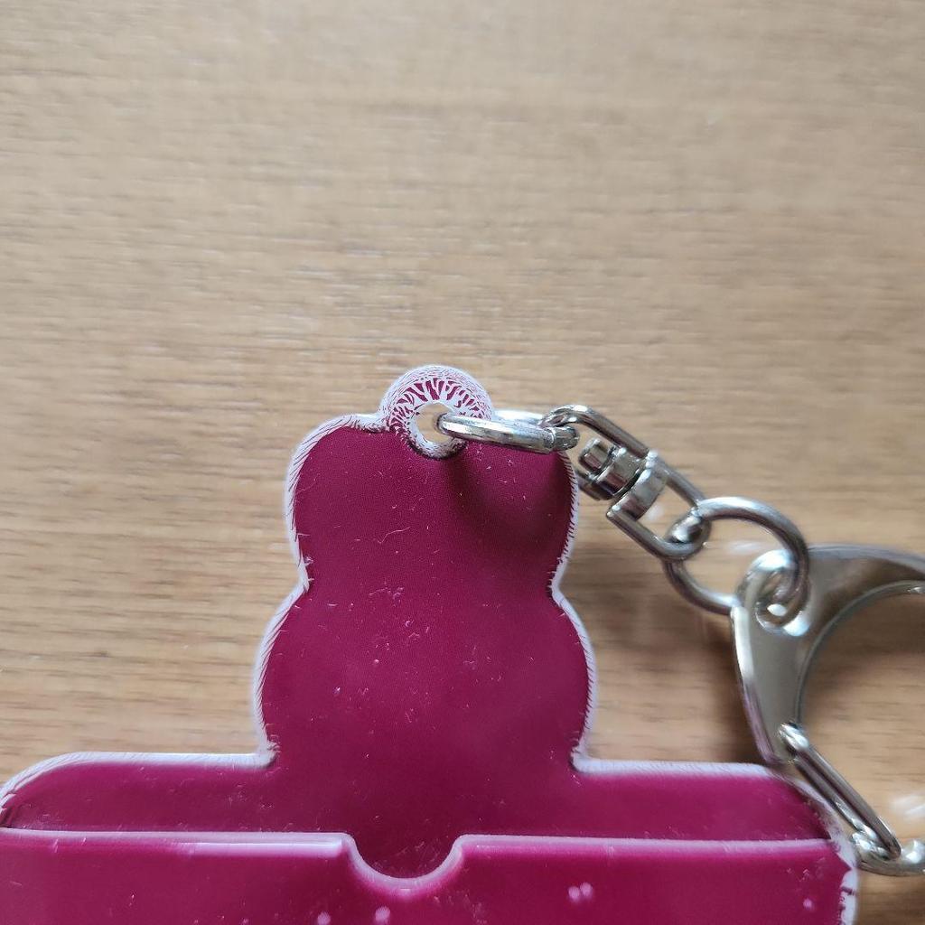 [USED] StrayKids Leavitt Card Holder