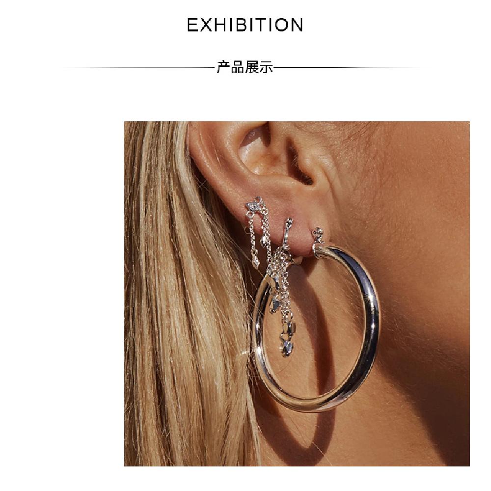 Hoop Earrings for Women, Ins Trendy European Style Niche Design Elegant High Grade Fashion Jewelry