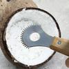 Stainless Steel Coconut Planer Sharp Coconut Grater Fruit Spoon Planer  Fresh Coconut Meat