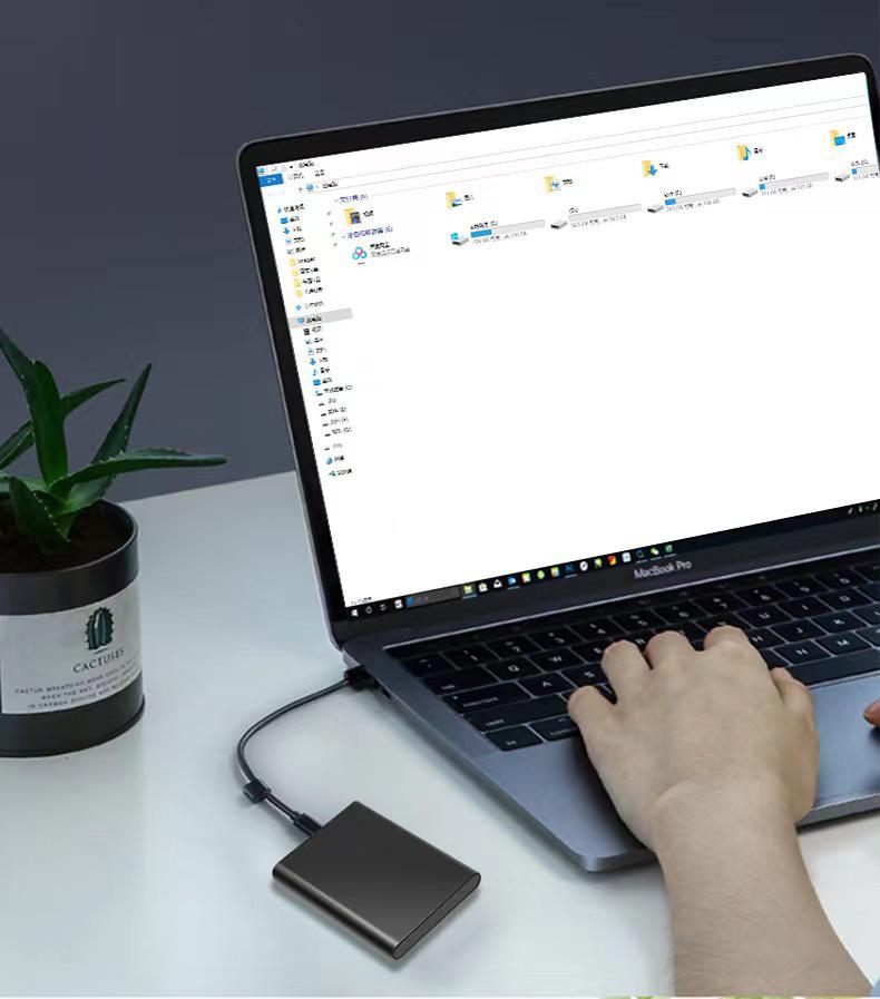 High-Speed Portable SSD: 16TB/8TB/4TB/2TB with Type-C Connectivity