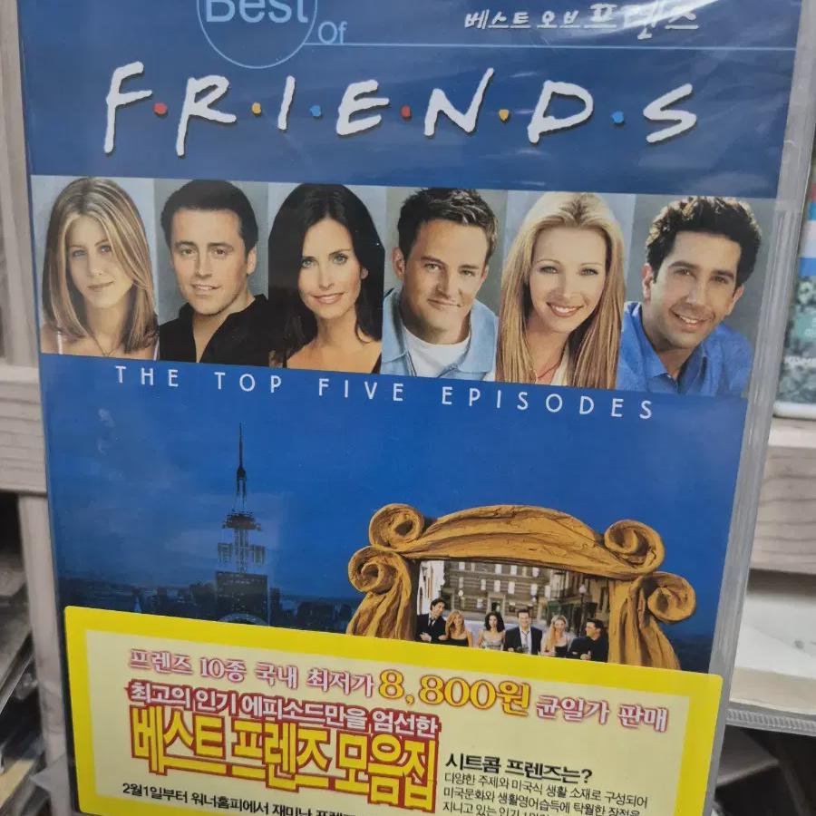 

Середина Друзья