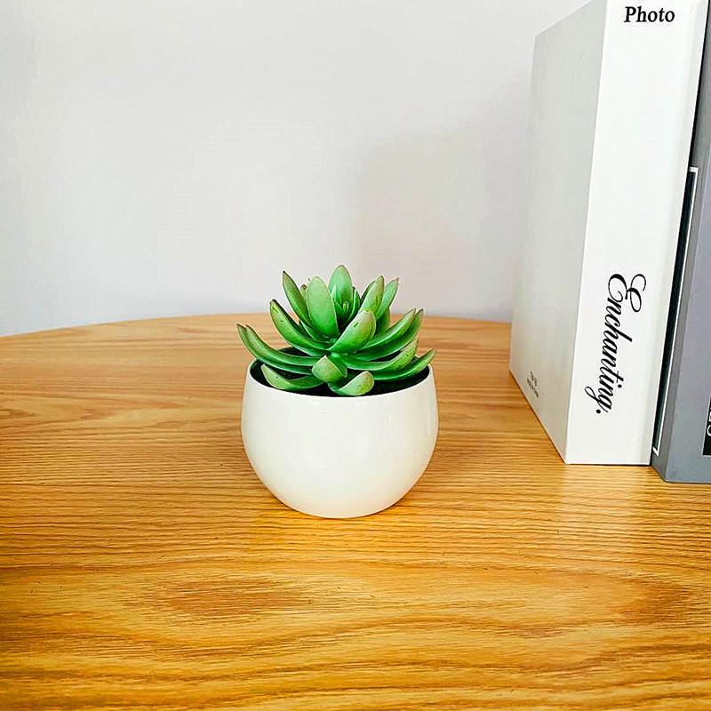 Simulated Succulent Bonsai Pot With Lightweight Pvc For Home Office Interior Design