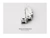 Banyan Tree S925 Silver Zircon Earrings - Elegant & Stylish Ear Hooks for Women
