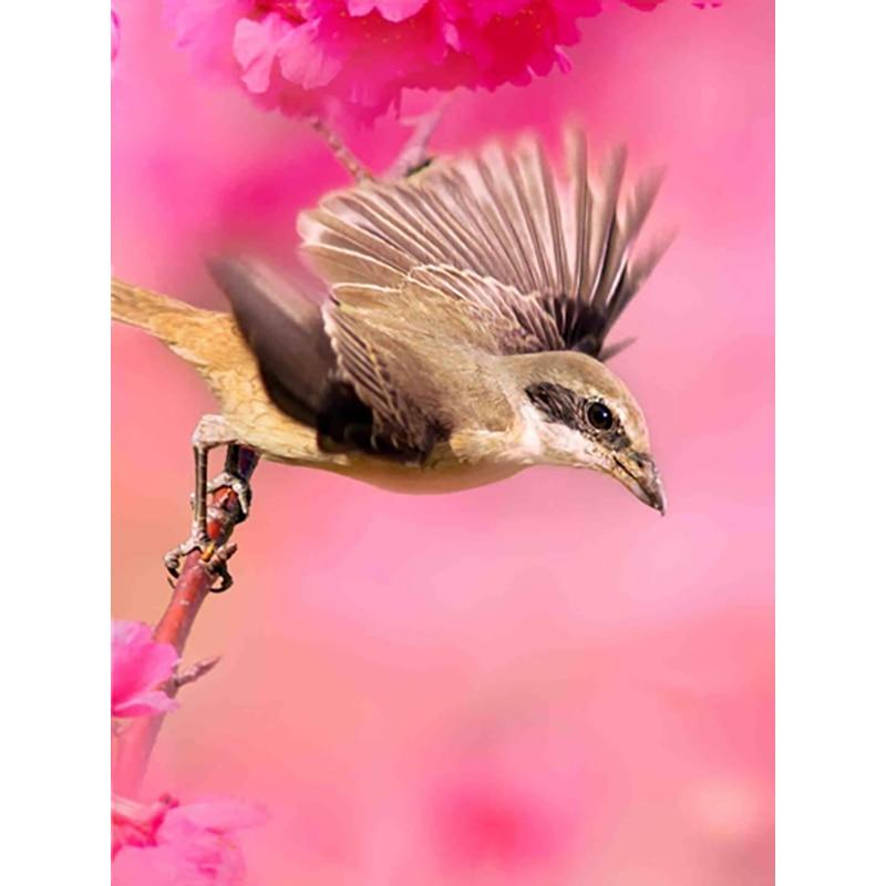 Neue 5D DIY Diamant Malerei Vogel Diamant Stickerei Tiere Kreuz Stich Voll Platz Runde Bohrer Handwerk Wohnkultur Manuelle Geschenk