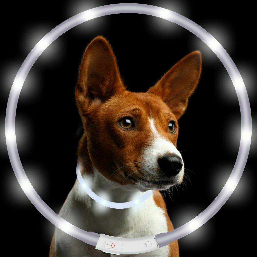 USB wiederaufladbare blinkende Nacht-Hundehalsbänder, leuchtendes Haustierhalsband, LED-Licht, USB-Hundehalsband, leuchtendes Teddy-Blitzhalsband, Haustier