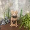 Beautiful Standing Bulldog Figure In Sand Color