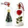Festive Room Accent Light Recordable Christmas Message in A Bottle, Voice Recording Holiday Keepsake with Personalized Memory Playback Cork,