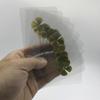 5/10Pcs Postcards Grass Transparent Wishing Cards Lucky Clover For Bookmarks Decorations Acrylic Bookmark Cards Acrylic Cards