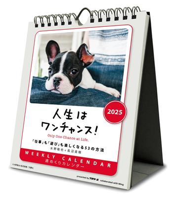 Tri-X Life Is One Chance! Tabletop/Wall 2025 Calendar CL-383 18×14cm