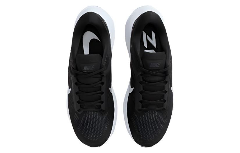 Nike Air Zoom Structure 24 Black Pure Platinum DA8535-002