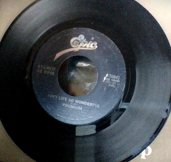 

7inch Record PREMIUM - Isn t Life So Wonderful / I m Gonna 950842 Epic 1979 US Soul/Funk Used
