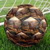 1pc Horse Wildflowers Theme Soccer Ball Football, Size 5, Lightweight PVC, Durable Outdoor Training Soccer Ball, Gift m61417