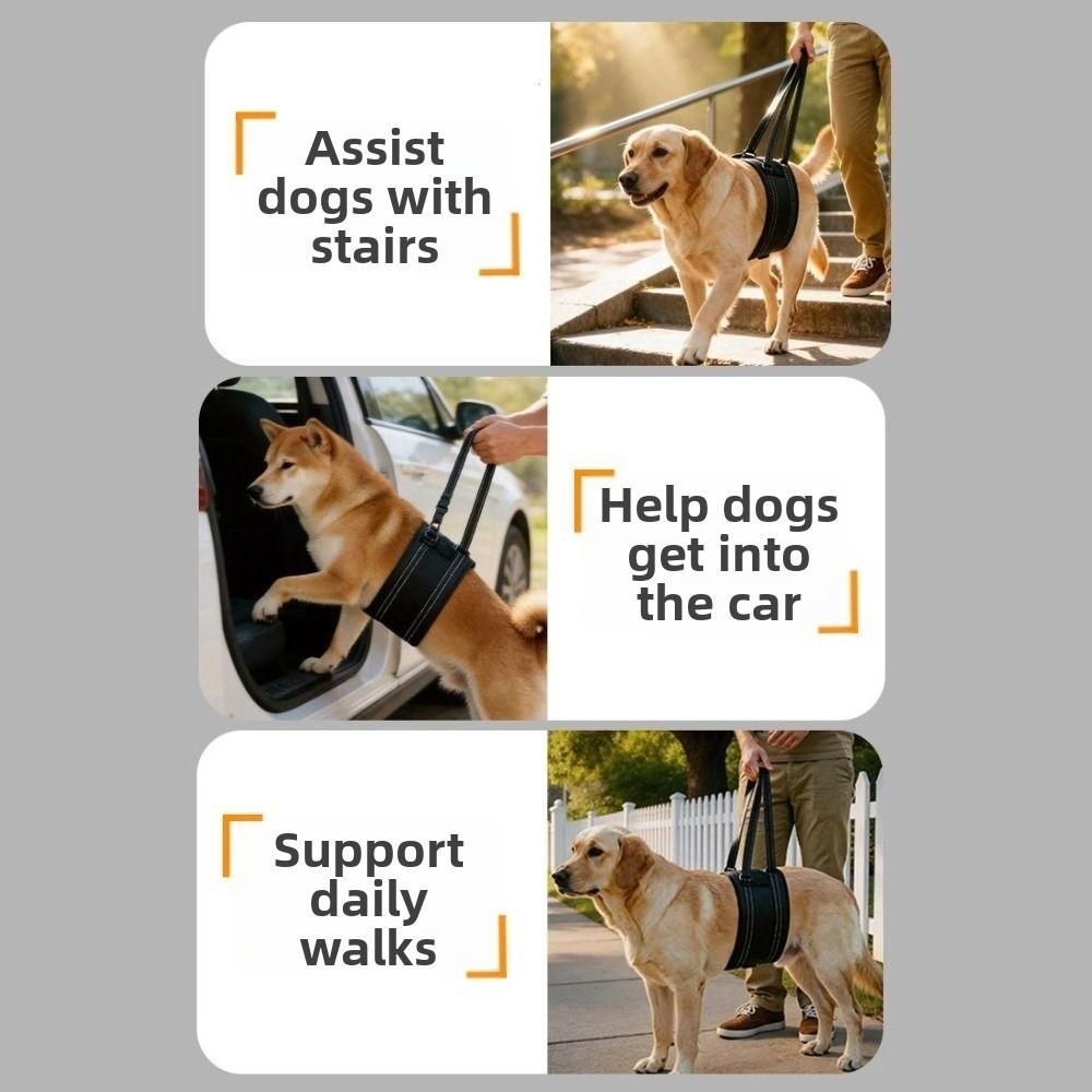 Convenient Handle Dog Support Recovery Sling Breathable Pet Rehabilitation Harness  Injury Recovery