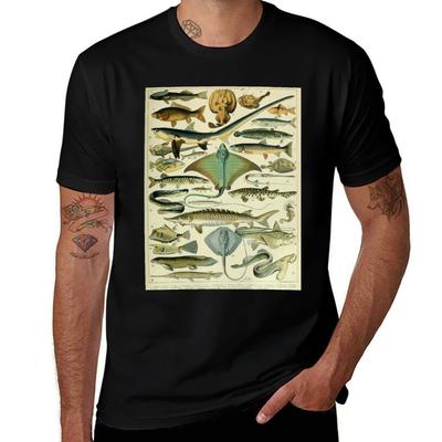 Koszulki i topy – T-shirty i koszulki