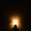 IPF Backup Lamp LED T16 500 Made in Japan Bulb, 6000K, Lumens, 303BL,