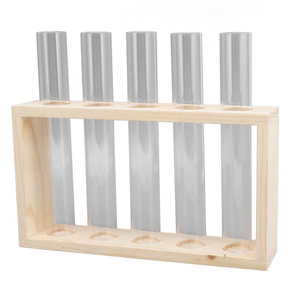 5 Test Tube Plant Terrarium Transparent Observe Growth Status Water Plant Holder with Wooden Stand for Herbs