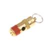 Soupape de sécurité de surpression pour compresseur d'air mâle 1/4'' NPT Raccord d'entrée fileté Soupape de pression 125Psi-270Psi Soupape de sécurité