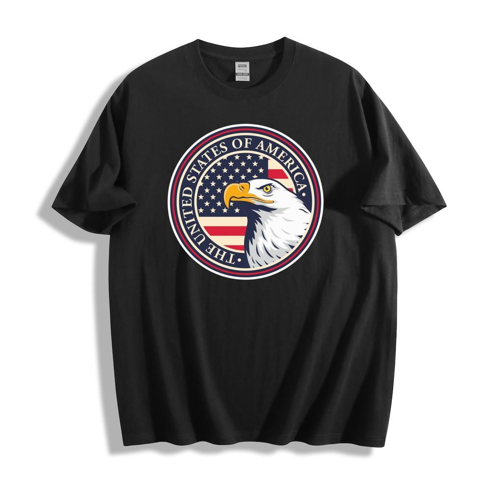 American Eagle USA Flag T-Shirt