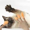 Put On The Plastic Gloves for Playing with And Petting Cats and Massage The Left and Right Little Hands