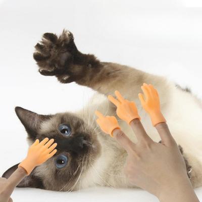 Indossa I Guanti di Plastica per Giocare e Accarezzare i Gatti e Massaggia Le Mani Piccole Sinistra e Destra