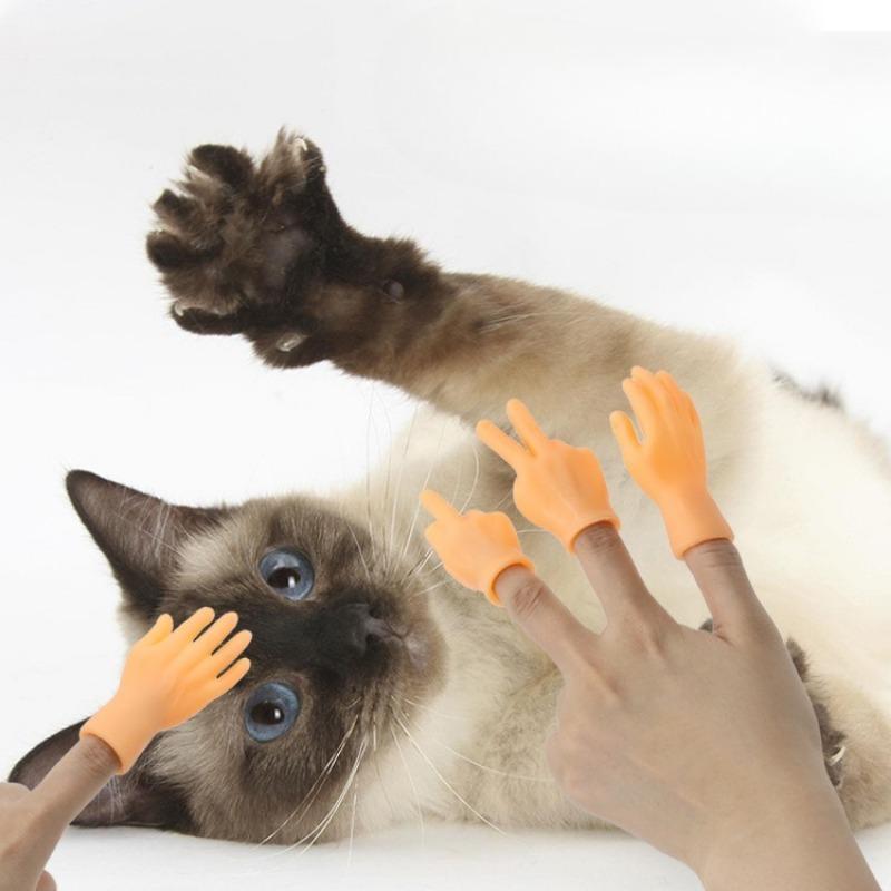 Put On The Plastic Gloves for Playing with And Petting Cats and Massage The Left and Right Little Hands