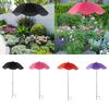 Cover for Outdoor Plants with Adjustable Features